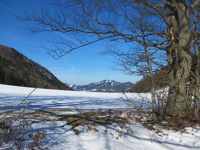 spitzkogel